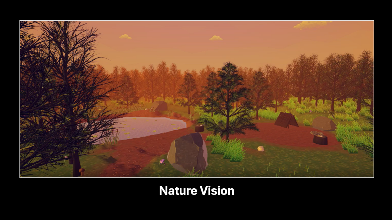 Nature Vision